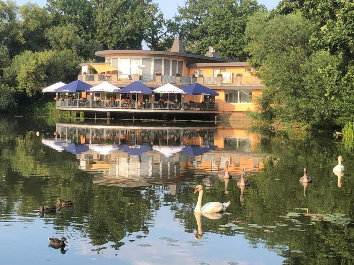 Pension Am See Torgau Exterior foto